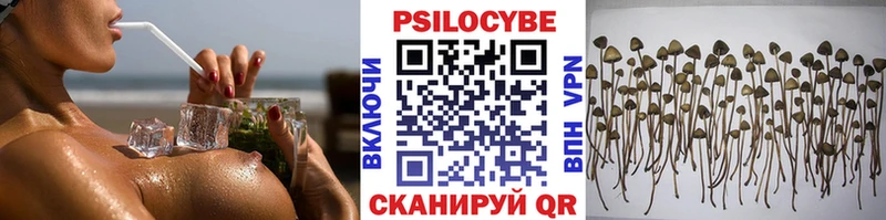 Псилоцибиновые грибы MAGIC MUSHROOMS  мориарти какой сайт  Люберцы  hydra ТОР 